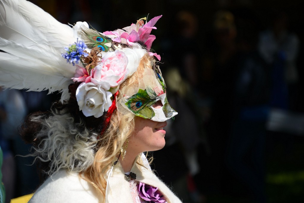 ../Images/Keltfest 2015 zaterdag 205.jpg